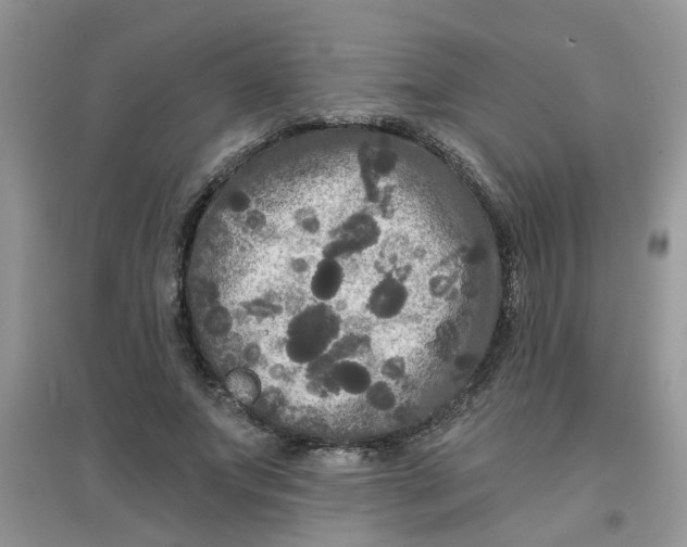 X0000097630687200803142025