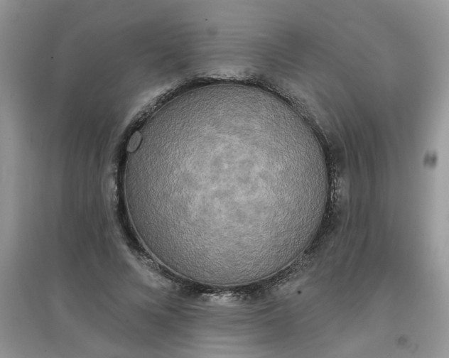 X0000097630688200803142025