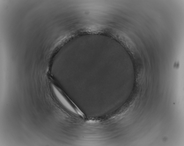 X0000097630689200803142025