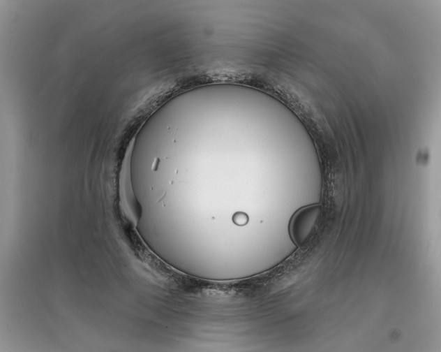 X0000097630690200803142025