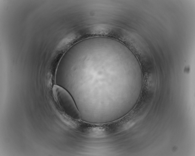 X0000097630692200803142025