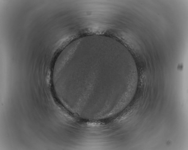 X0000097630693200803142025