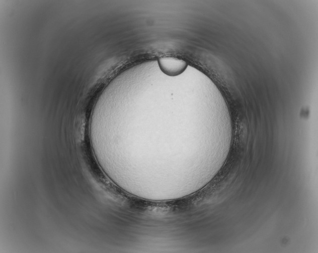 X0000097630694200803142025