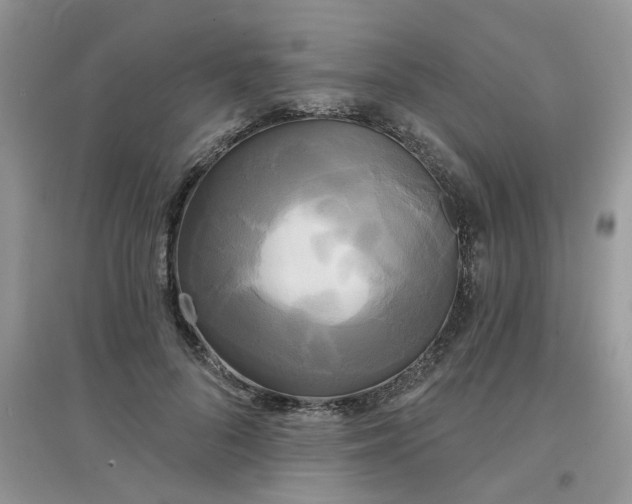 X0000097630696200803142025