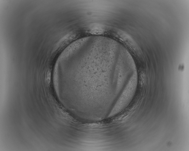 X0000097630697200803142025