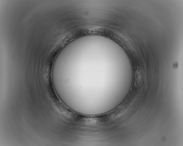 X0000097630698200803142025