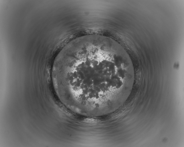 X0000097630699200803142025