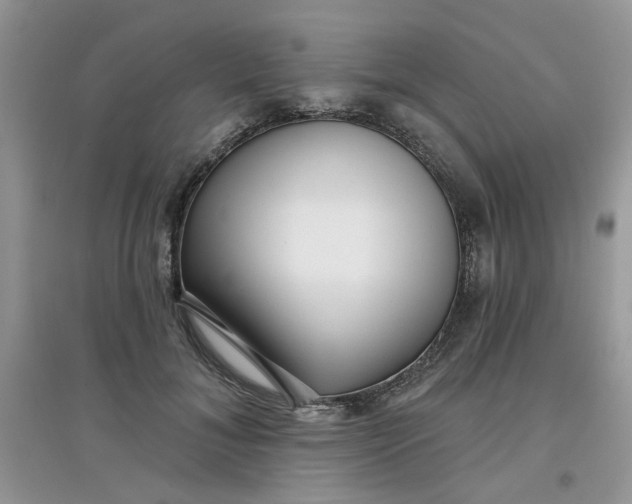 X0000097630700200803142025