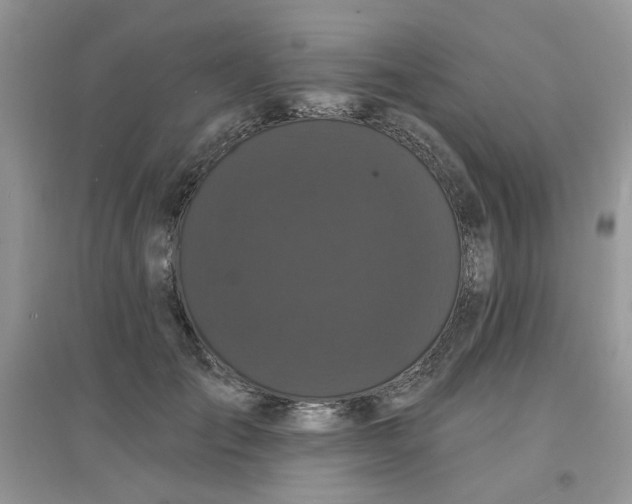 X0000097630701200803142025