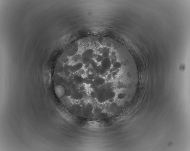 X0000097630703200803142025