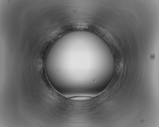 X0000097630704200803142025