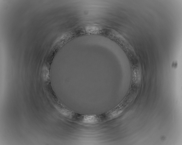 X0000097630705200803142025