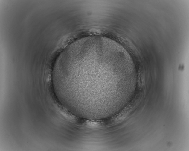 X0000097630706200803142024