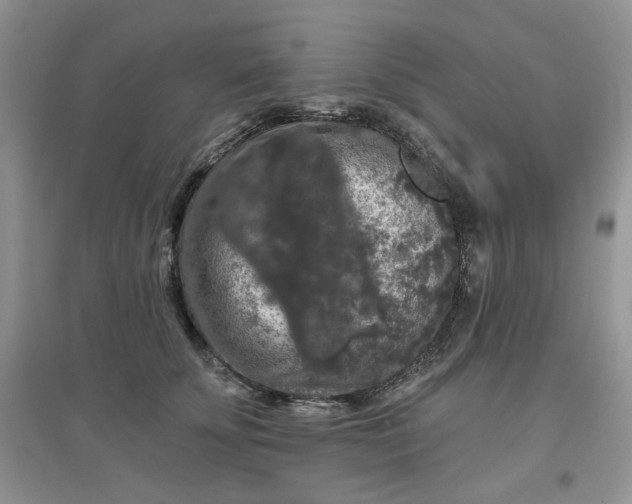 X0000097630707200803142024