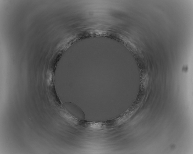 X0000097630709200803142024