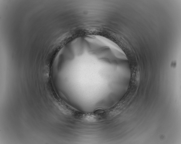 X0000097630710200803142024