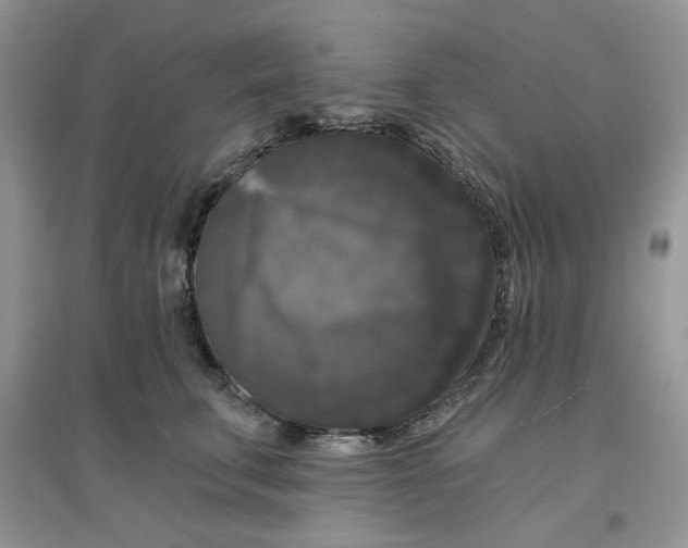 X0000097630711200803142024