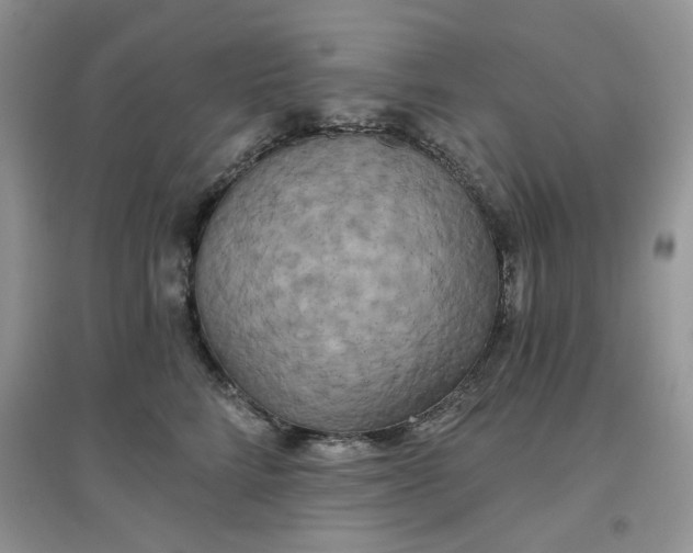 X0000097630712200803142024