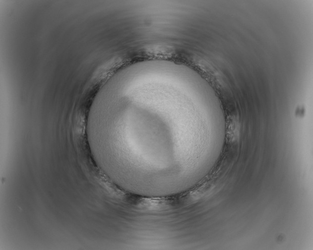 X0000097630713200803142024