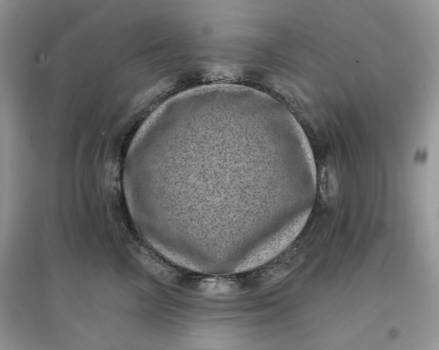 X0000097630714200803142024