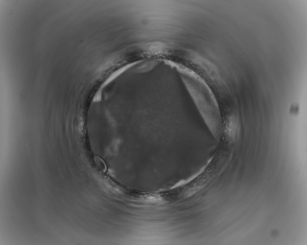 X0000097630715200803142024