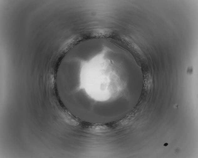 X0000097630716200803142024