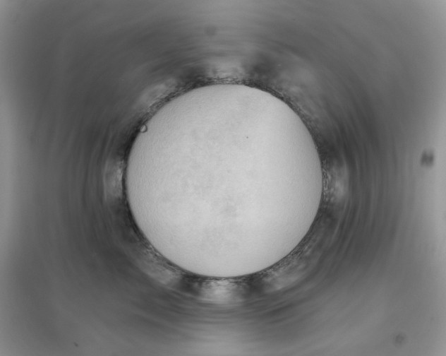 X0000097630717200803142024