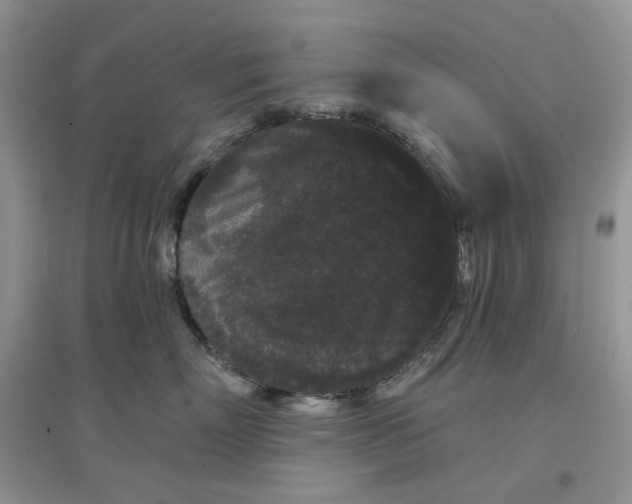 X0000097630718200803142024