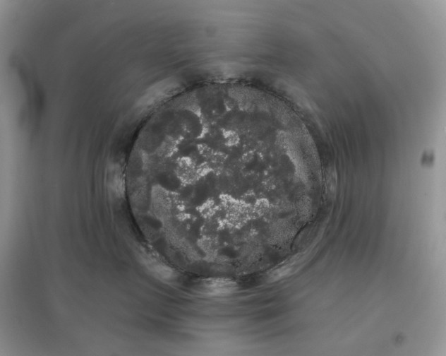 X0000097630719200803142024