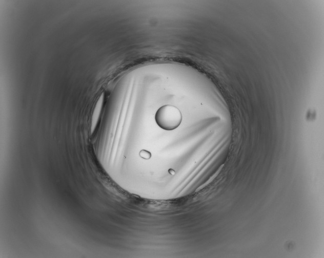 X0000097630720200803142024