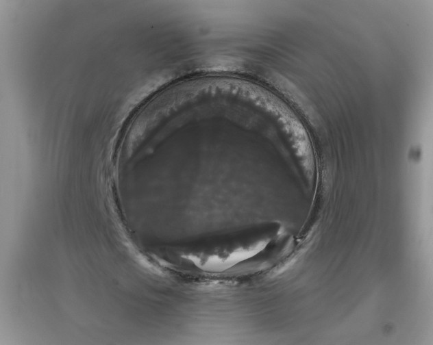 X0000097630721200803142024