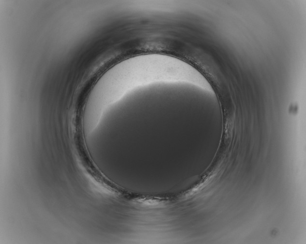 X0000097630722200803142024