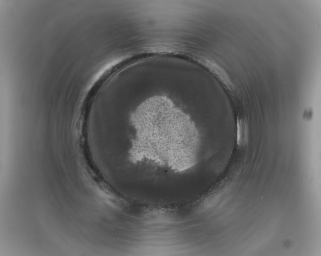 X0000097630723200803142024