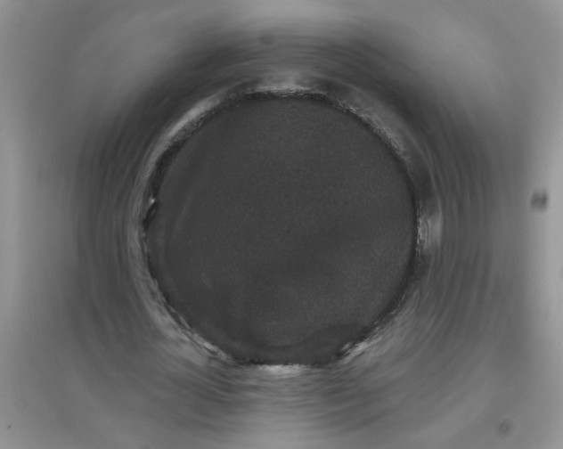 X0000097630724200803142024