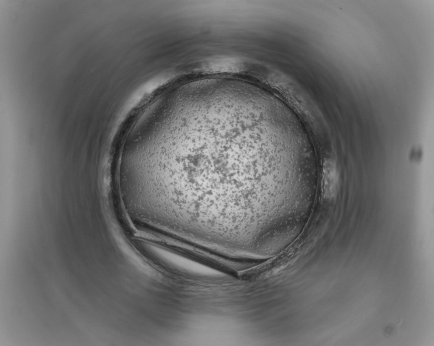 X0000097630726200803142024