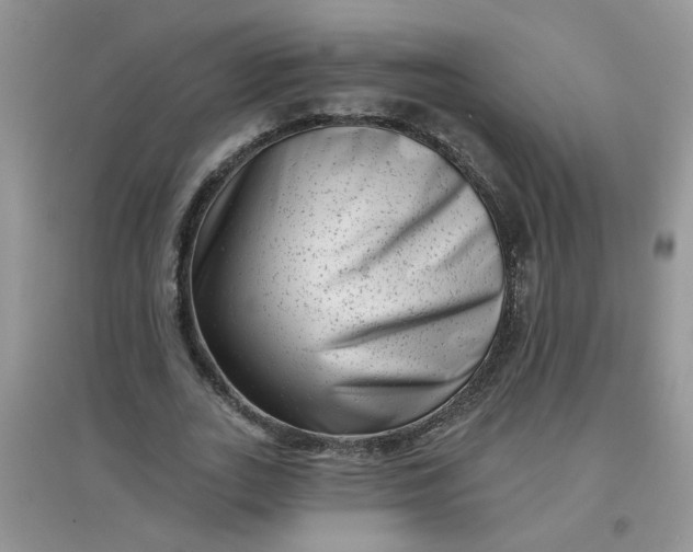 X0000097630727200803142024