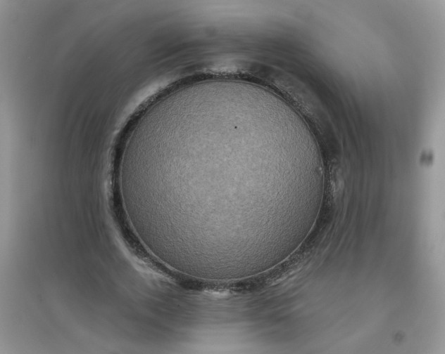 X0000097630728200803142024