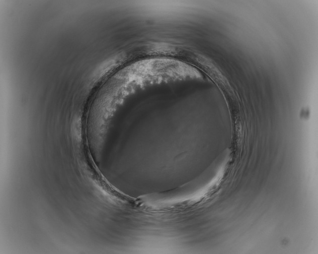 X0000097630729200803142024