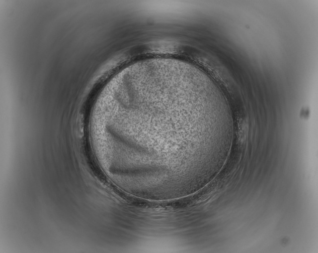 X0000097630731200803142024