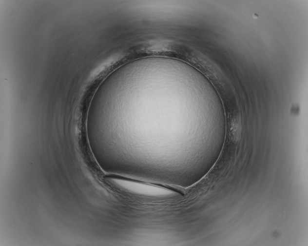 X0000097630732200803142024