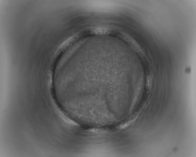 X0000097630733200803142024