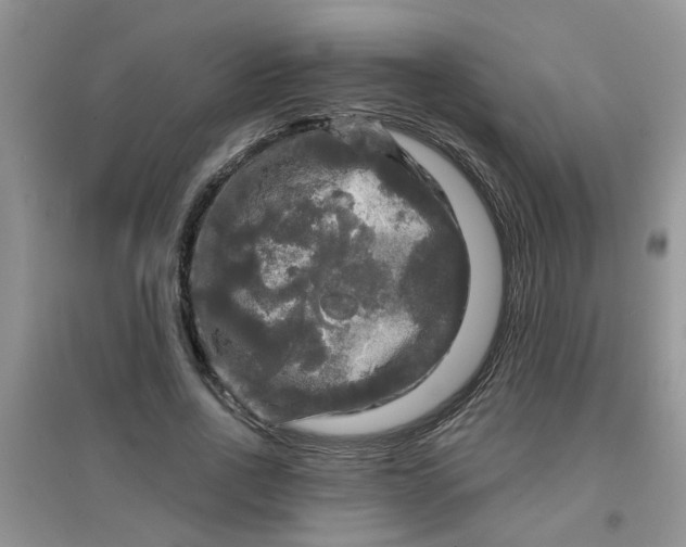 X0000097630734200803142024