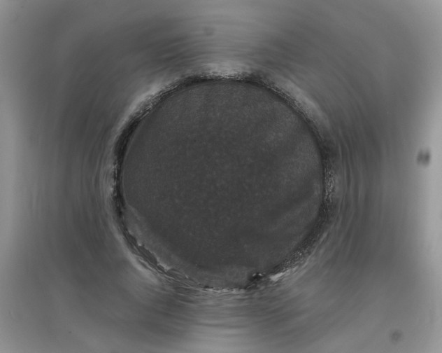 X0000097630736200803142024