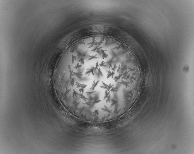 X0000097630737200803142024