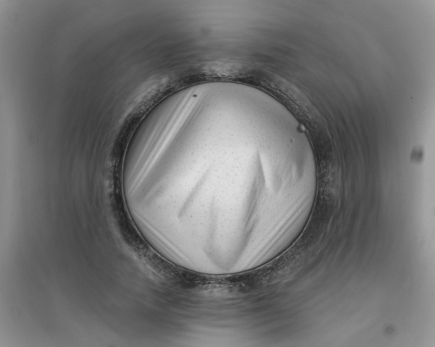 X0000097630738200803142024