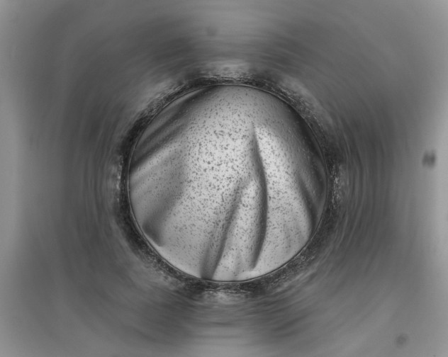 X0000097630739200803142024