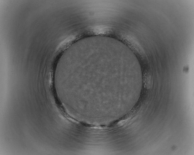 X0000097630740200803142024