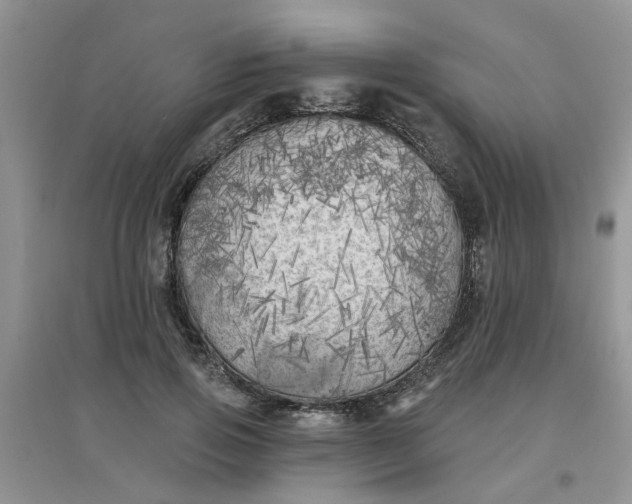 X0000097630741200803142024