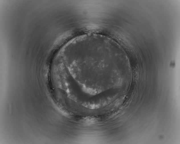 X0000097630742200803142024