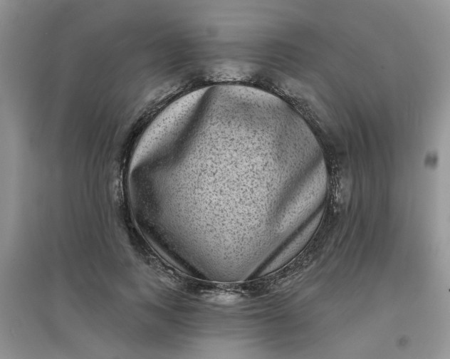 X0000097630743200803142024